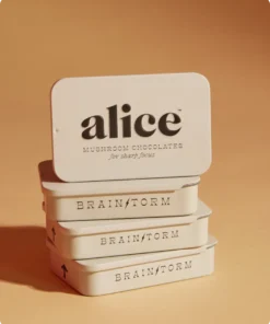 Alice Mushroom Chocolate