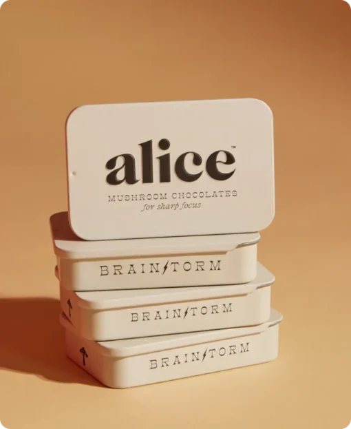 Alice Mushroom Chocolate